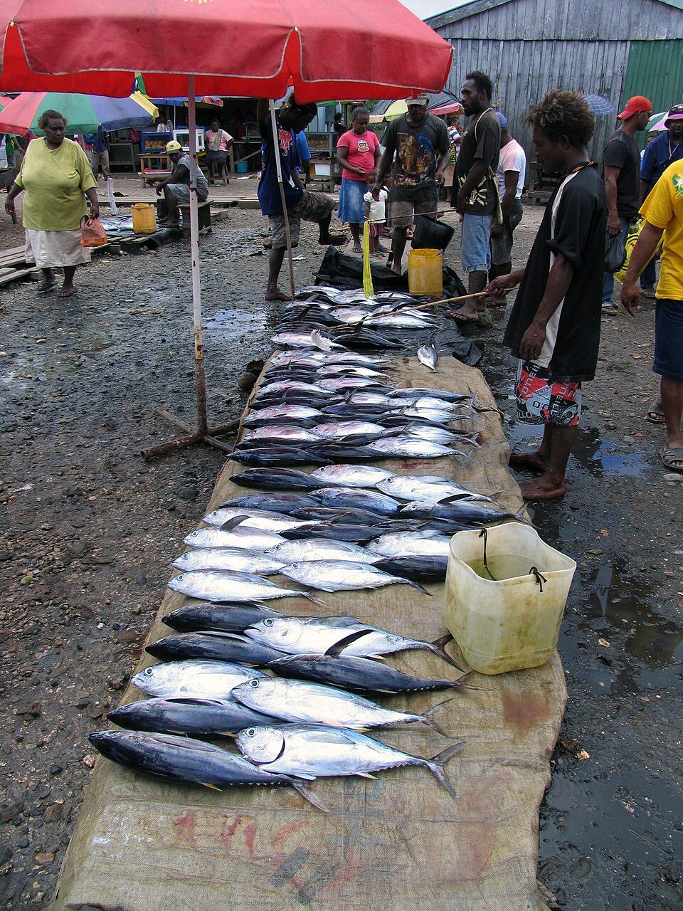 Auki, Solomon Islands