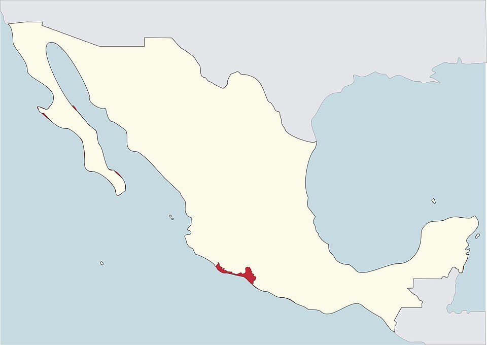 Ciudad Lázaro Cárdenas, Mexico