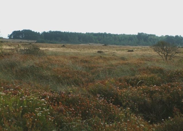 Goonhilly Downs, United Kingdom