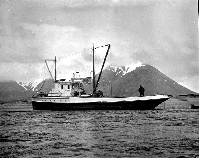 King Cove, AK, United States