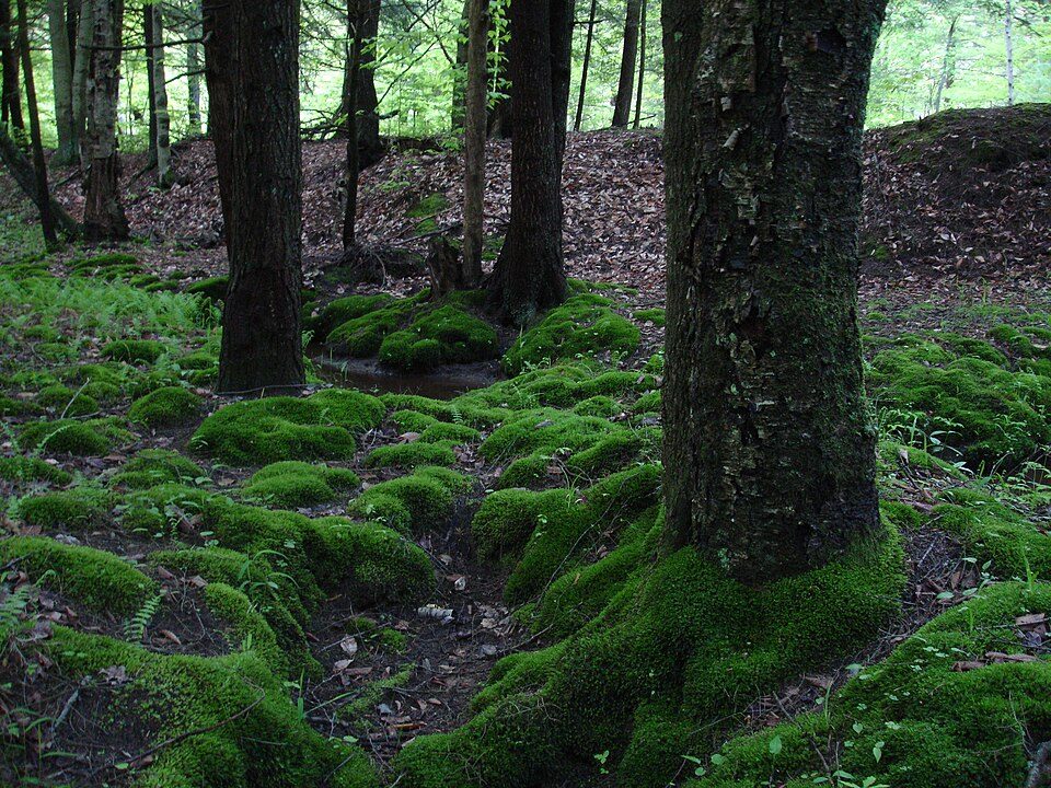 Moss, Norway