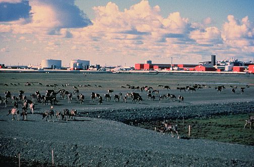 Prudhoe Bay, AK, United States