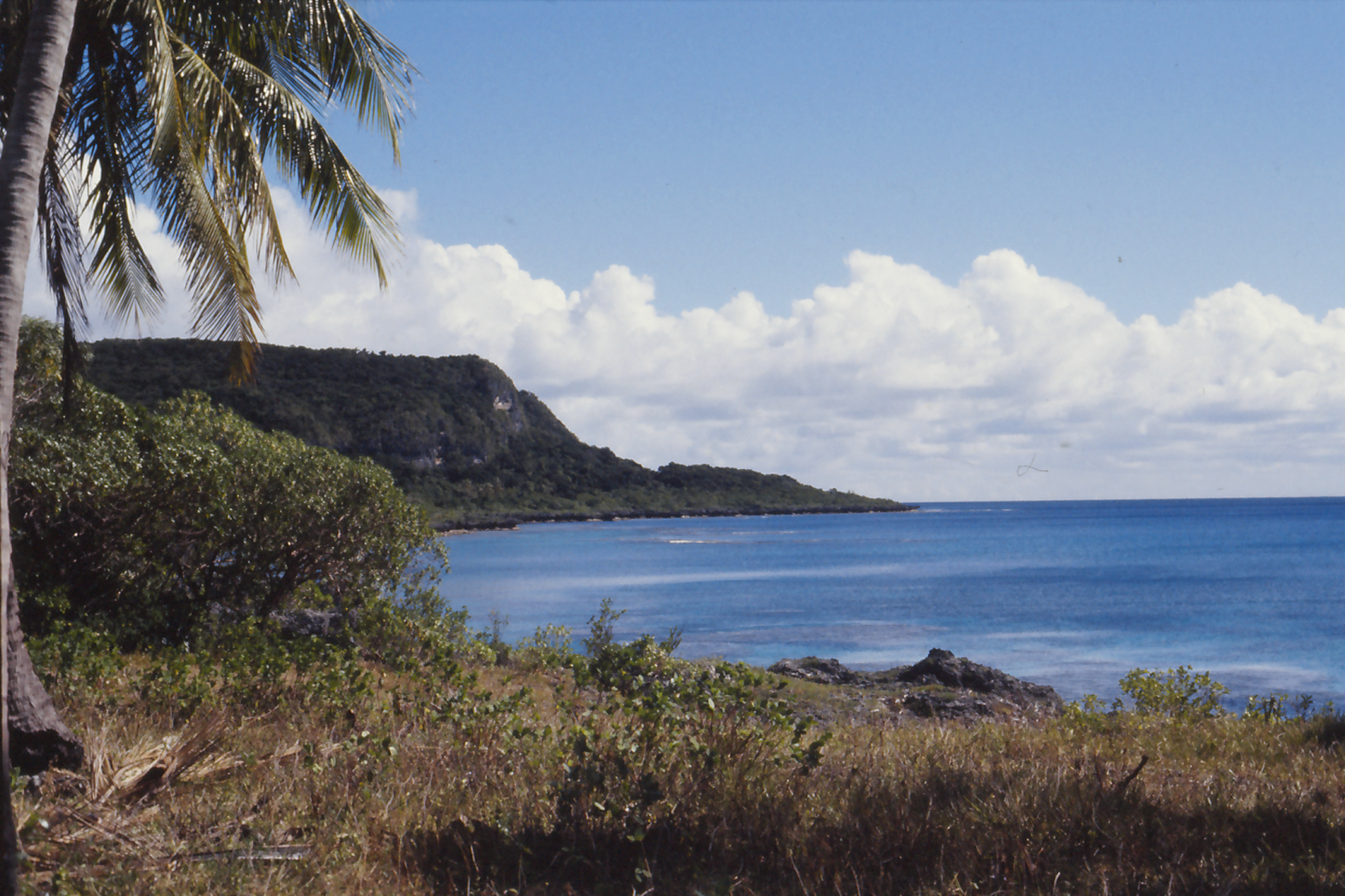 M5 earthquake · 77 km ENE of Tadine, New Caledonia