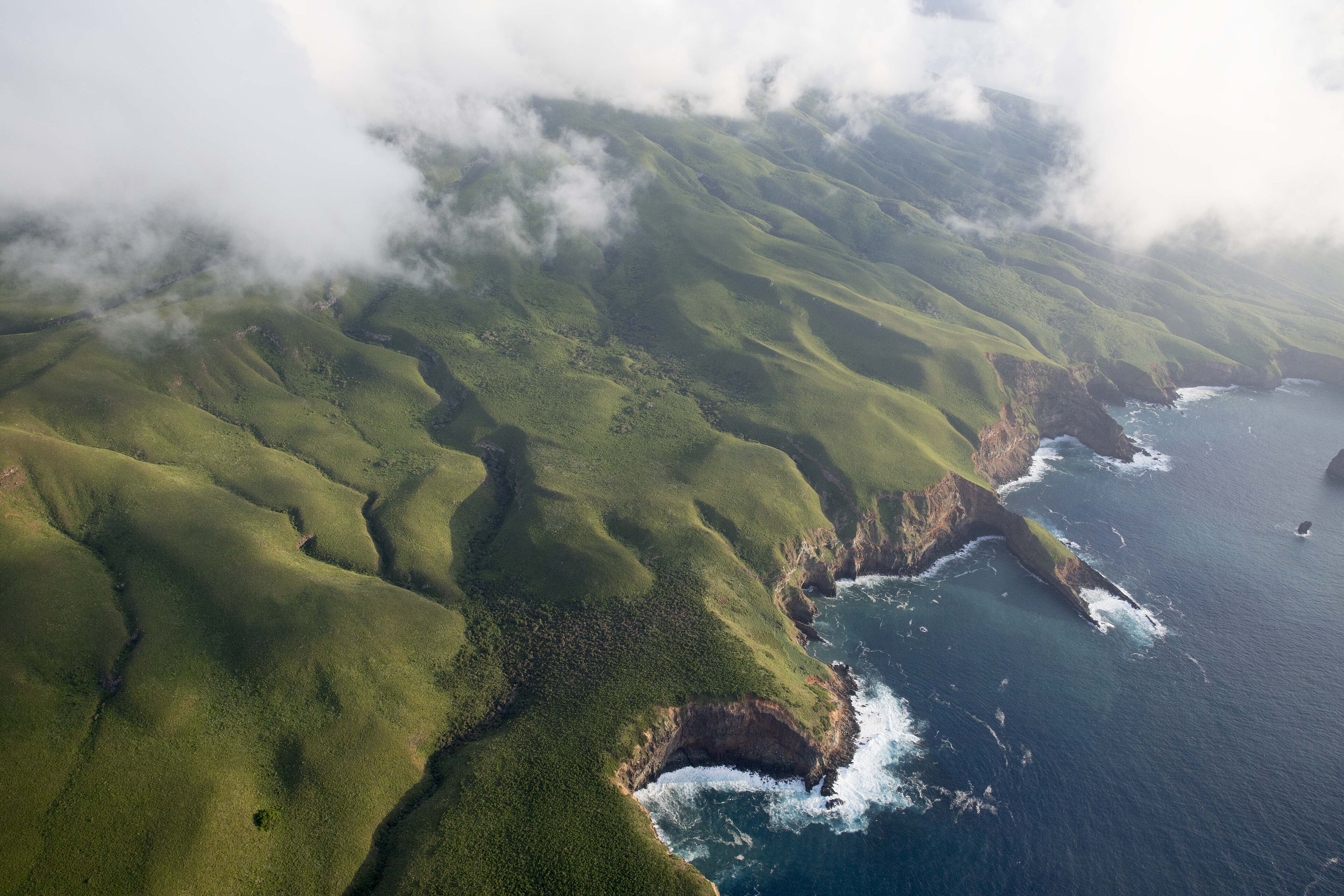 Sismo de magnitud 5.3 · Región de las Islas Revillagigedo